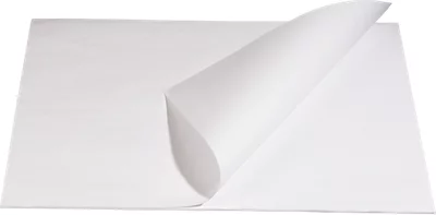Sous-main vierge, 40 feuilles