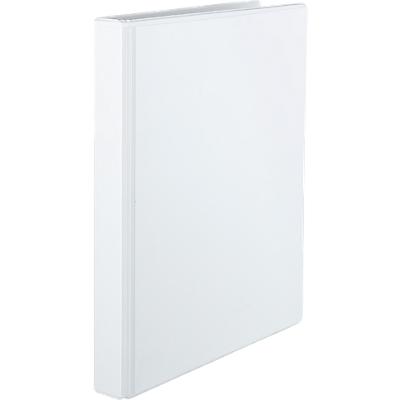 Eichner Presentatie Ringbanden Met 2 Ringen A4 10 Stuks eichner kopen in de aanbieding