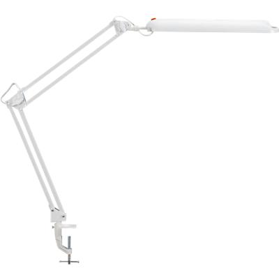 Maul Energiezuinige Lamp Atlantic Met Klem maul kopen in de aanbieding Maul Energiezuinige Lamp Atlantic Met Klem maul kopen in de aanbieding