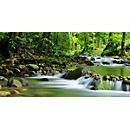 Acoustic picture, landscape format, W 800 x H 1600 mm, sound absorption class A, 2-ply, polyester fleece & aluminum, motif Bach