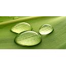 Acoustic picture, landscape format, W 800 x H 1600 mm, sound absorption class A, 2-ply, polyester fleece & aluminum, motif drops