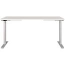 Agenda bureau, elektrisch in hoogte verstelbaar, B 1600 x D 800 x H 720-1200 mm, lichtgrijs/zilver + geheugen USB-paneel