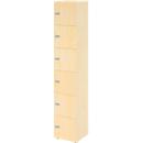 Armoire à casiers verrouillables Topas Line, 6 hauteurs de classeurs, 6 compartiments, serrure à combinaison, L 400 x P 420 x H 2156 mm, érable/érable