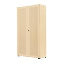 Armoire à portes battantes, 2 portes, surface acoustique, 800 x 2300 mm, 6 HC, coloris érable