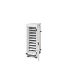 Armoire mobile pour chargement d'ordinateur portable, L 530 x P 1250 x H 500 mm, 10 compartiments, verrouillage 2 points, 2 roulettes avec frein, gris clair