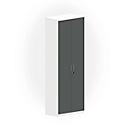 Armoire NEVADA, 6 HC, portes en bois, l. 800 x P 445 x H 2220 mm, blanc/gris foncé 