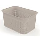 Aufbewahrungsbox Rotho BRISEN, Volumen 4,5 l, Lochstruktur, stapelbar, ohne Deckel, L 262 x B 180 x H 130 mm, Recycling-PP, cappuccino