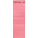 Bandes organisatrices, rose