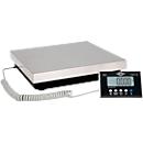 Bascule électronique 