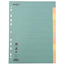 Biella index cardboard blank A4, 10 pieces