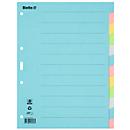 Biella index cardboard blank A4, 12 pieces