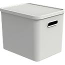 Boîte de transport Rotho Albula, volume 27 l, empilable, avec couvercle amovible et trous de préhension, L 370 x l 290 x H 295 mm, plastique recyclé, blanc