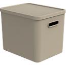Boîte de transport Rotho Albula, volume 27 l, empilable, avec couvercle amovible et trous de préhension, L 370 x l 290 x H 295 mm, plastique recyclé, marron