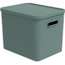 Boîte de transport Rotho Albula, volume 27 l, empilable, avec couvercle amovible et trous de préhension, L 370 x l 290 x H 295 mm, plastique recyclé, vert