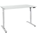 Bureau, elektrisch in hoogte verstelbaar, rechthoekig, T-Fu, B 1600 x D 800 x H 755-1255 mm, lichtgrijs/wit + memory-bedieningspaneel, kabelgoot