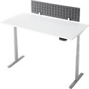 Bureau - rechthoekig - elektrisch in hoogte verstelbaar - T-poot - B 1600 x D 800 x H 620-1280mm - incl. Memory Master + bureauverdeler - wit/zilver