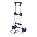 Carrinho de transporte RuXXax- cart Business