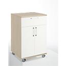 Catering caddy, with fridge compartment and hinged compartment, W 650 x D 600 x H 1000 mm, without cool box, oak decor/white