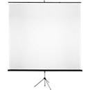 Classic tripod screen, W 2000 x H 2000 mm, 1:1 pitch, height-adjustable, with handle, fabric and metal, black and white