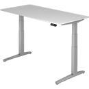 Desk TOPAS LINE, electrically height-adjustable, C-foot, W 1600 x D 800 x H 650-1300 mm, light gray/aluminum silver + memory switch, cable duct