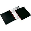 Durable Easy organizer, for DIN A4, with 20 pockets, 2 pieces, black