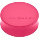 Ergo-magneten "Large", roze, 10 stuks