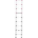 Escalera telescópica Hailo T80 FlexLine, EN 131-6, regulable en altura, desbloqueo con una mano, hasta 150 kg, 9 peldaños