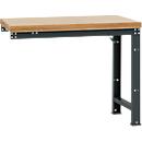 Établi modulaire Profi Standard Manuflex, plateau de table en multiplex, 1250 x 700 mm, anthracite