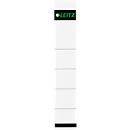 Etiquetas LEITZ® para lomo de papel, ancho de lomo 50 mm, etiqueta insertable, 10 unidades
