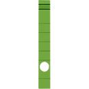 Étiquette pour classeur, largeur de tranche 39 mm, autocollant, 10 p., vert