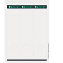 Étiquettes pour classeurs longues LEITZ®, imprimable, largeur de tranche 80 mm, autocollant 75 p., gris clair