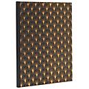 Exacompta Gästebuch Néo Déco Schwarz 220x270 mm, 100 Seiten Clairefontaine, Goldschnitt, transparente Box