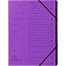 Exacompta sorteermap, A4, elastieksluiting, karton, 12 waaiers, lila