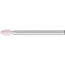 Gemonteerde punten STEELRAND D3xH6mm 3mm AR 100 SP PFERD