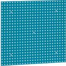 Geperforeerd paneel WFI, wandmontage, gatmaat 9 x 9 mm &amp; gatafstand 38 mm, L 988 x H 910 mm, plaatstaal, azuurblauw RAL 5009