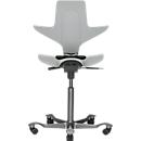 HAG Capisco Puls 8010 Xtreme gris cl., 265