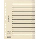 Intercalaires à découper Easy Rip PAGNA, format A4, lignes pré-tracées, 100 p., noir