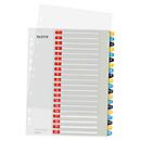 Intercalaires Cosy Leitz®, A4 extra large, inscriptible, perforation universelle, feuille de couverture remplaçable, polypropylène, onglets colorés 1-20