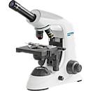 KERN Microscope à lumière transmise OBE-121, monoculaire, lentille achromatique 4/10/40 x, oculaire HWF 10 x 18 mm, puissance d'éclairage 3 W, alimentation secteur/USB, blanc