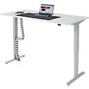 Komplettangebot Schreibtisch, elektrisch höhenverstellbar, T-Fuß, B 1600 x T 800 x H 605-1265 mm, lichtgrau/silber+ Kabelführung und Schreibunterlage