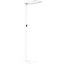 Lampadaire LED Butler, 80 W, 8800 lm, 4000 K, compatible avec les postes de travail informatisés, éclairage direct/indirect, intensité lumineuse variable en continu, détecteur de mouvement, blanc