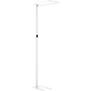 Lampadaire LED Dotlux ROOFbutler, 80 W, 8800 lm, 4000 K, intensité lumineuse variable, détecteur de présence, blanc