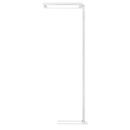 Lampadaire LED Waldmann LAVIGO.core, 85 W, 12500 lm, 4000 K, intensité lumineuse variable, détecteur de lumière du jour/de mouvement, blanc