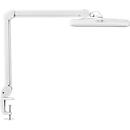 LED-Klemmleuchte MAULintro, Leistung 11 W, stufenlos dimmbar, um 360° drehbar, 920 lm, Klemmweite 63 mm, weiss