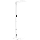 LED Stehleuchte STARIS, 80 W, 10070 lm, 3000 - 6000 K, dimmbar, direkt/indirekt leuchtend, für Bildschirmarbeitsplätze, Tageslichtsensor, 3 Steckdosen, weiß
