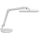 LED-Tischleuchte MAULintro, Leistung 11 W, stufenlos dimmbar, um 360° drehbar, 920 lm, weiss
