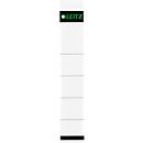 LEITZ® papieren rugetiketten, rugbreedte 50 mm, insteekbaar etiket, 10 stuks