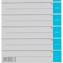 LEITZ® scheidingsbladen A4 1652, gebruik naar eigen inzicht, 25 stuks, lichtblauw