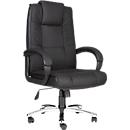 LUCCA directiestoel, met armleuningen