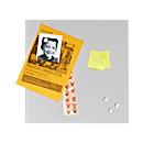 Magnetic board, stainless steel, 465 x 465 mm